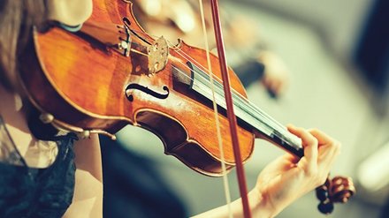 Musikinstrumentenversicherung InTakt Symbolbild Musikinstrumentenversicherung. Bild zeigt die Nahaufnahme einer Geige.